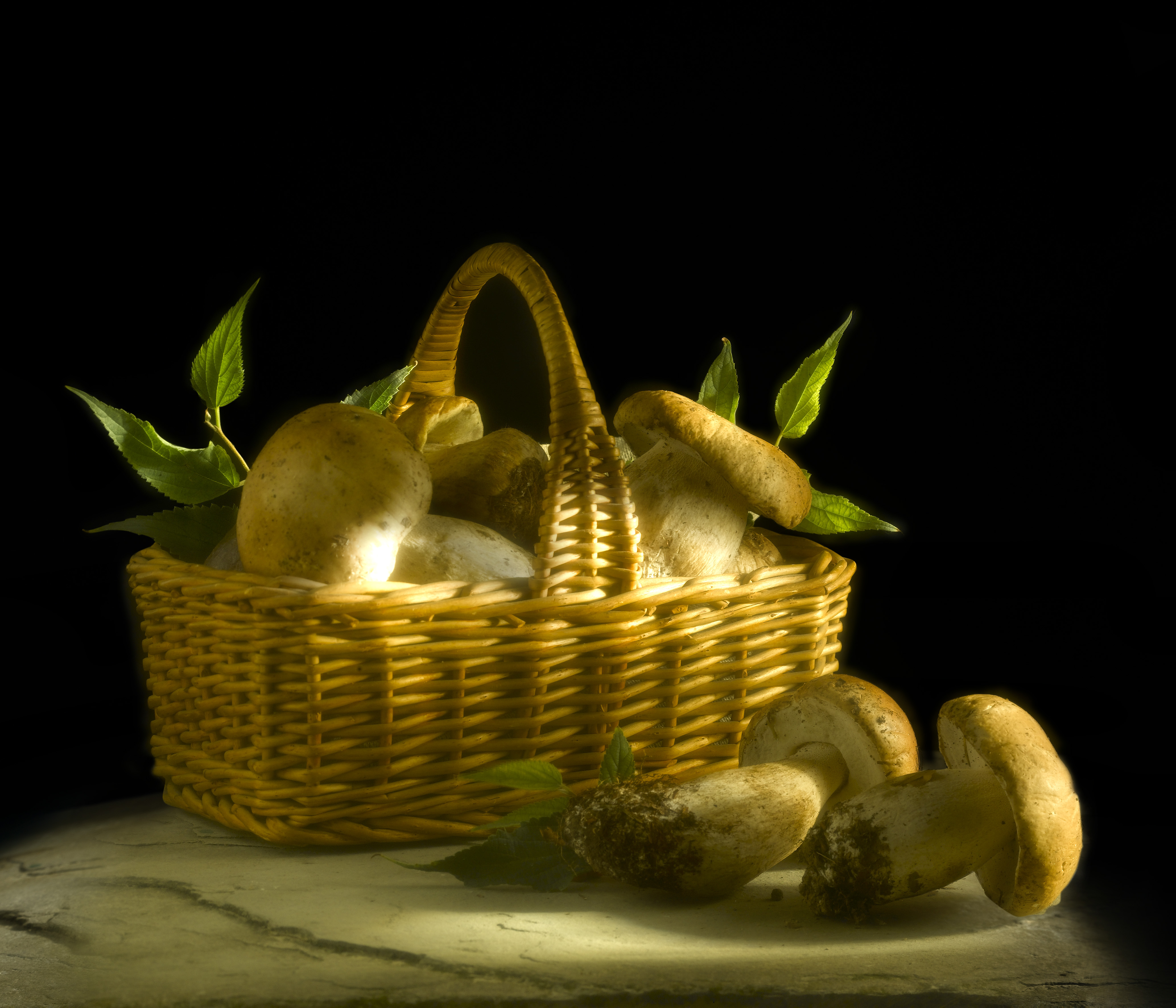 Porcini del Pollino